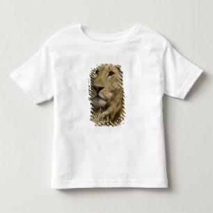 T-shirt Pour Les Tous Petits Lion d'Afrique, Panthera leo, Portrait d'un