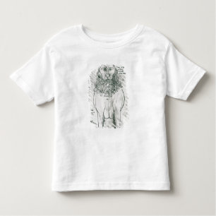 T-shirt Pour Les Tous Petits Lion et porc-épic de Mme Fr 19093 fol.24v