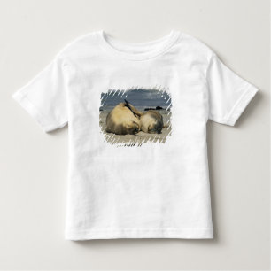 T-shirt Pour Les Tous Petits Lions de la mer d'Australie (Neophoca cinerea),