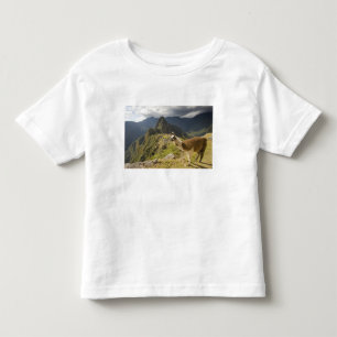 T-shirt Pour Les Tous Petits Llamas et vue sur Machu Picchu,
