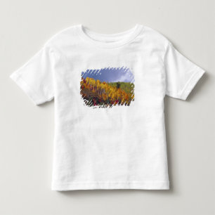 T-shirt Pour Les Tous Petits Logan Canyon dans l'Utah en automne avec passage