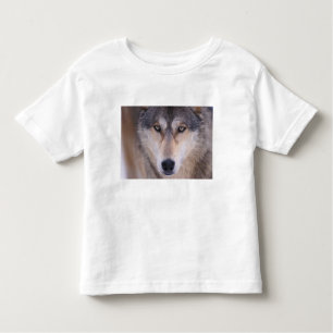T-shirt Pour Les Tous Petits loup gris, Canis lupus, gros plan des yeux