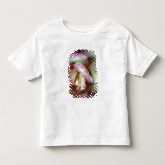 T-shirt Pour Les Tous Petits <Love is a Rose> par Nathan Griffith (Devant)