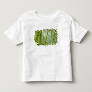 T-shirt Pour Les Tous Petits Lumière du matin filtrant à travers le bambou