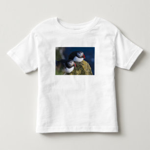 T-shirt Pour Les Tous Petits Macareux atlantique (Fratercula arctica) 7