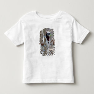 T-shirt Pour Les Tous Petits Madagascar, réserve d'Ankarafantsika ; Ampijoroa ;