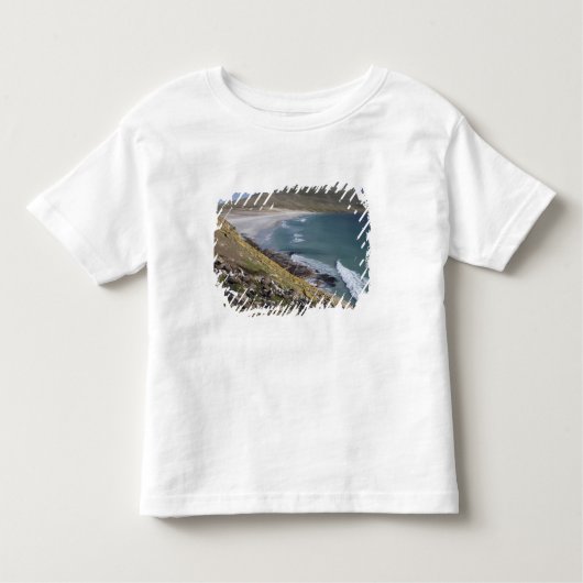 T-shirt Pour Les Tous Petits Malouines, Falkland Ouest, Saunders (Devant)