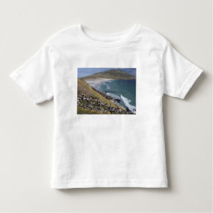 T-shirt Pour Les Tous Petits Malouines, Falkland Ouest, Saunders