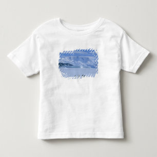 T-shirt Pour Les Tous Petits Manchots Adélie, Pygoscelis adeliae),