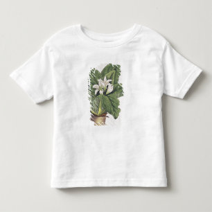 T-shirt Pour Les Tous Petits Mandragora d'atrope