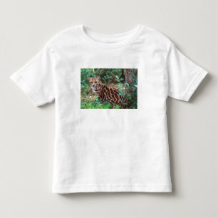 T-shirt Pour Les Tous Petits Margay, Leopardus wiedi, Originaire du Mexique jus