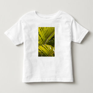 T-shirt Pour Les Tous Petits Maurice, Maurice central, Moka, palmier
