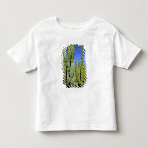 T-shirt Pour Les Tous Petits Mexique, Sonora, San Carlos. Saguaro & Organ Pipe