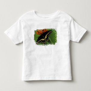 T-shirt Pour Les Tous Petits Michigan, Rochester. Noir américain de l'Est