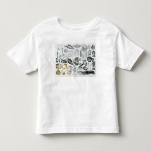 T-shirt Pour Les Tous Petits Mollusques