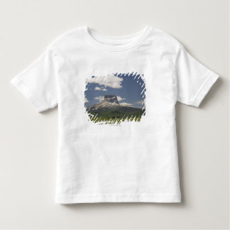 T-shirt Pour Les Tous Petits Montagne en chef avec des pâturages de frôler des