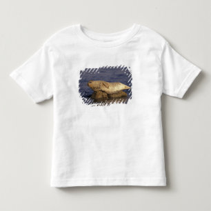 T-shirt Pour Les Tous Petits N.A., États-Unis, Californie, Monterey. Phoque co