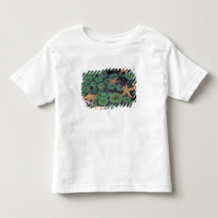 T-shirt Pour Les Tous Petits N.A., États-Unis, Washington, Parc national Olympi