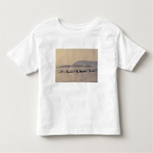 T-shirt Pour Les Tous Petits N.A., États-Unis, Washington, San Juan Islands Orc
