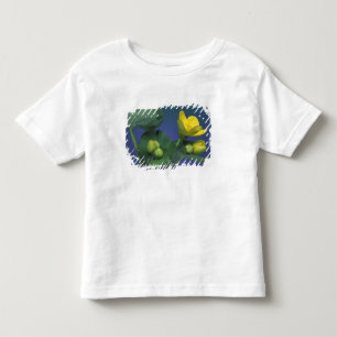 T-shirt Pour Les Tous Petits NA, États-Unis, Michigan, Rochester Hills. Marais