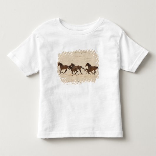 T-shirt Pour Les Tous Petits Namibie, Aus. Groupe de chevaux sauvages sur (Devant)