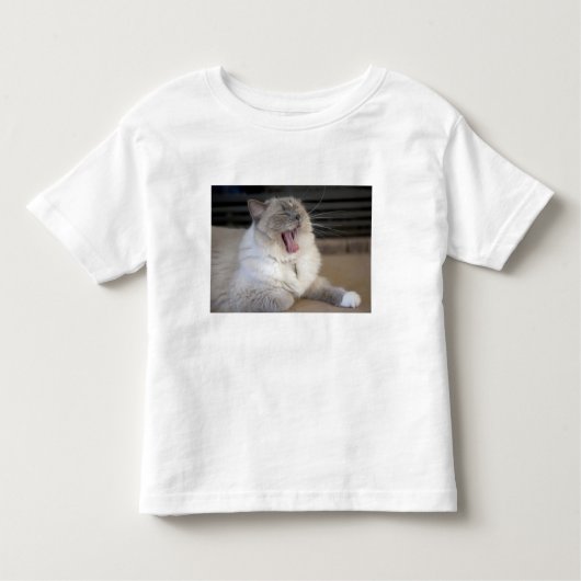 T-shirt Pour Les Tous Petits Neva Masquerade chat bâillonnant (Devant)