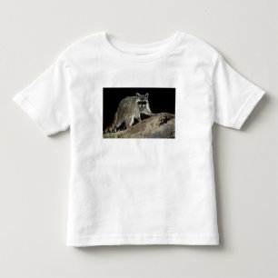 T-shirt Pour Les Tous Petits Northern Raccoon, lotor de Procyon