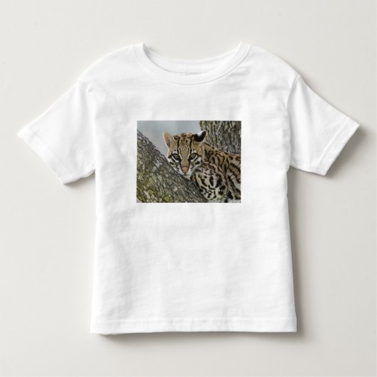 T-shirt Pour Les Tous Petits Ocelot, Felis pardalis, captif, femelle au repos 2 (Devant)