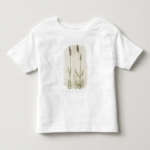 T-shirt Pour Les Tous Petits Officinalis de Lavandula (vieille lavande