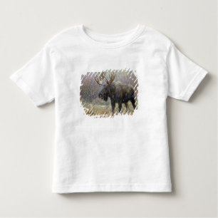 T-shirt Pour Les Tous Petits Oie taureau en orage de neige avec peupliers faux-