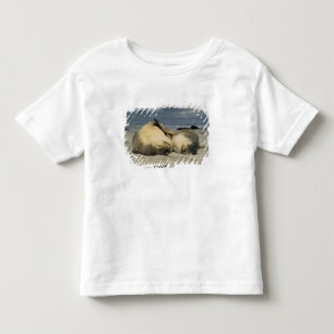 T-shirt Pour Les Tous Petits Otaries australiennes, Neophoca cinerea),