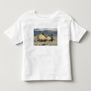 T-shirt Pour Les Tous Petits Otaries australiennes, Neophoca cinerea),