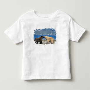 T-shirt Pour Les Tous Petits Ours brun, ours grizzly, jouer sur la plage,