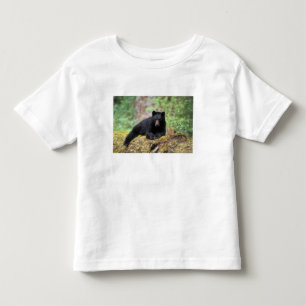 T-shirt Pour Les Tous Petits Ours noir sur une vieille bille de bois dans la
