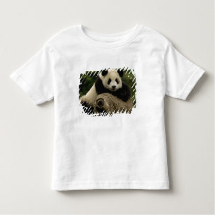 T-shirt Pour Les Tous Petits Panda géant bébé Ailuropoda melanoleuca)