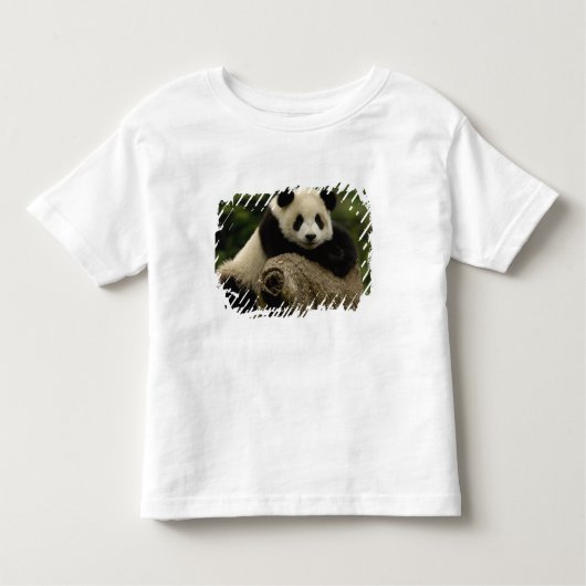 T-shirt Pour Les Tous Petits Panda géant bébé Ailuropoda melanoleuca) (Devant)