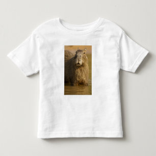 T-shirt Pour Les Tous Petits Pantanal, Brésil, Capybara, Hydrochoerus