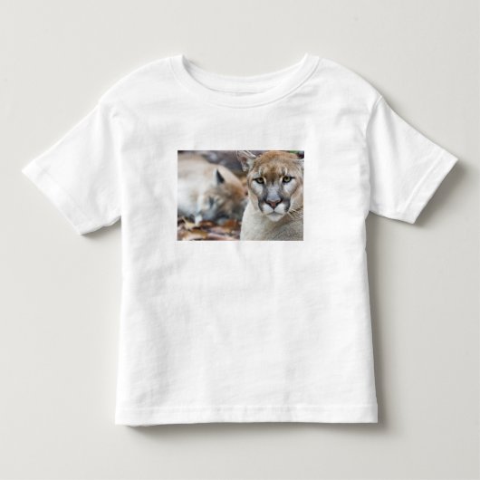 T-shirt Pour Les Tous Petits Panthère de Floride (Devant)
