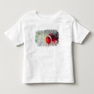T-shirt Pour Les Tous Petits Papouasie-Nouvelle-Guinée, Grande Barrière de cora