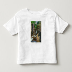T-shirt Pour Les Tous Petits Parc d'état d'entaille de Franconia