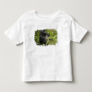 T-shirt Pour Les Tous Petits Parc national des Volcans, Gorille de montagne