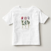T-shirt Pour Les Tous Petits Pavots : rubicundis multiplex des albumoris (Devant)