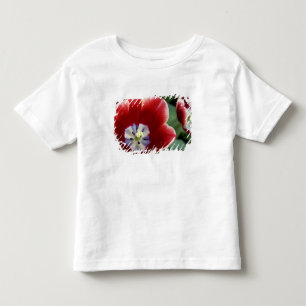 T-shirt Pour Les Tous Petits Pays-Bas (aussi appelé Hollande), Lisse. Keukenhof