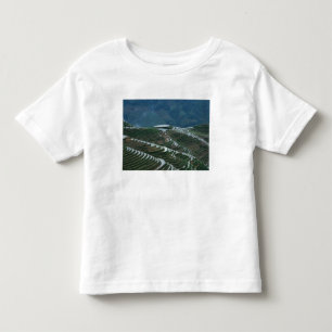 T-shirt Pour Les Tous Petits Paysage de rizières en terrasses dans la montagne,