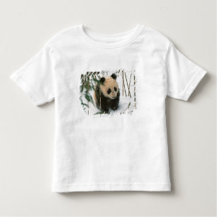 T-shirt Pour Les Tous Petits Petit panda sur la neige, Wolong, Sichuan, Chine