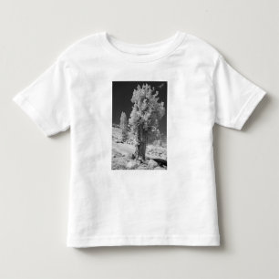T-shirt Pour Les Tous Petits Photo infrarouge du côté est du parc national de Y