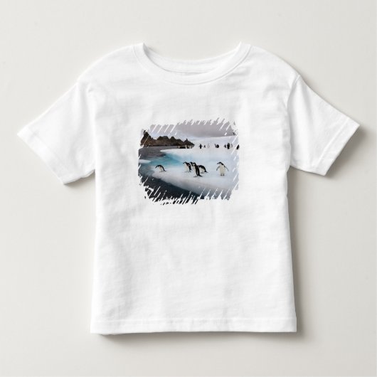 T-shirt Pour Les Tous Petits Pingouins (Devant)