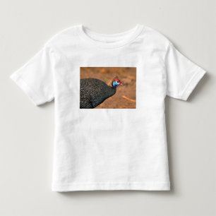 T-shirt Pour Les Tous Petits Pintade huppée (Numida meleagris). Afrique,