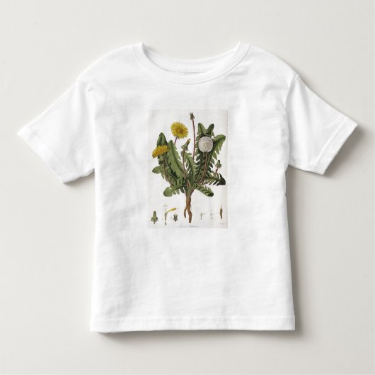 T-shirt Pour Les Tous Petits Pissenlit (gravure de couleur) (Devant)