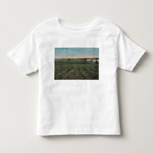 T-shirt Pour Les Tous Petits Plantation d'ananas prête pour la récolte dans (Devant)